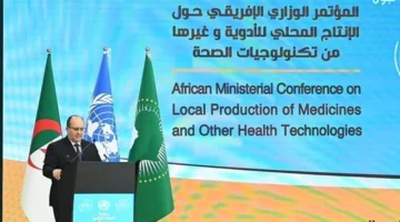 العلاقات المصرية الجزائرية نموذج للتكامل العربي والأفريقي يعزز التعاون الاقتصادي والتنمية المشتركة 1